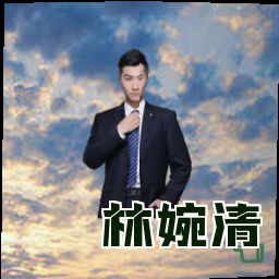 林婉清